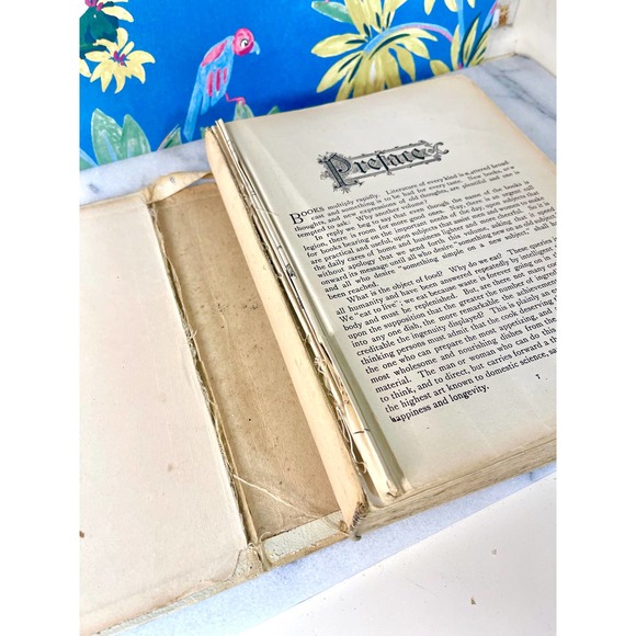 Antique Blue Ribbon Cookbook - Picture 3 of 6